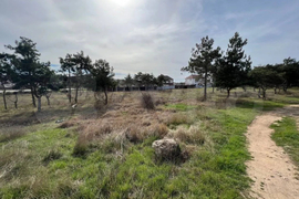 Участок 8 сот. (ИЖС)