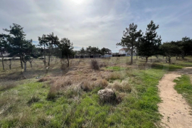 Участок 8 сот. (ИЖС)